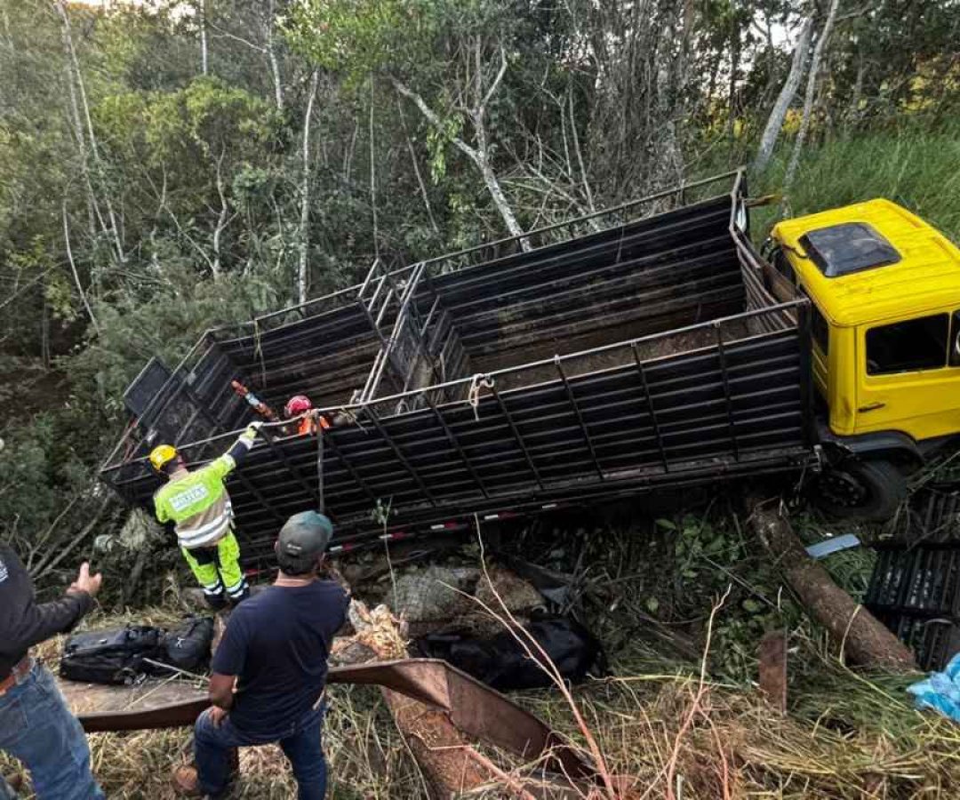 (foto: divulgação/ CBMG)