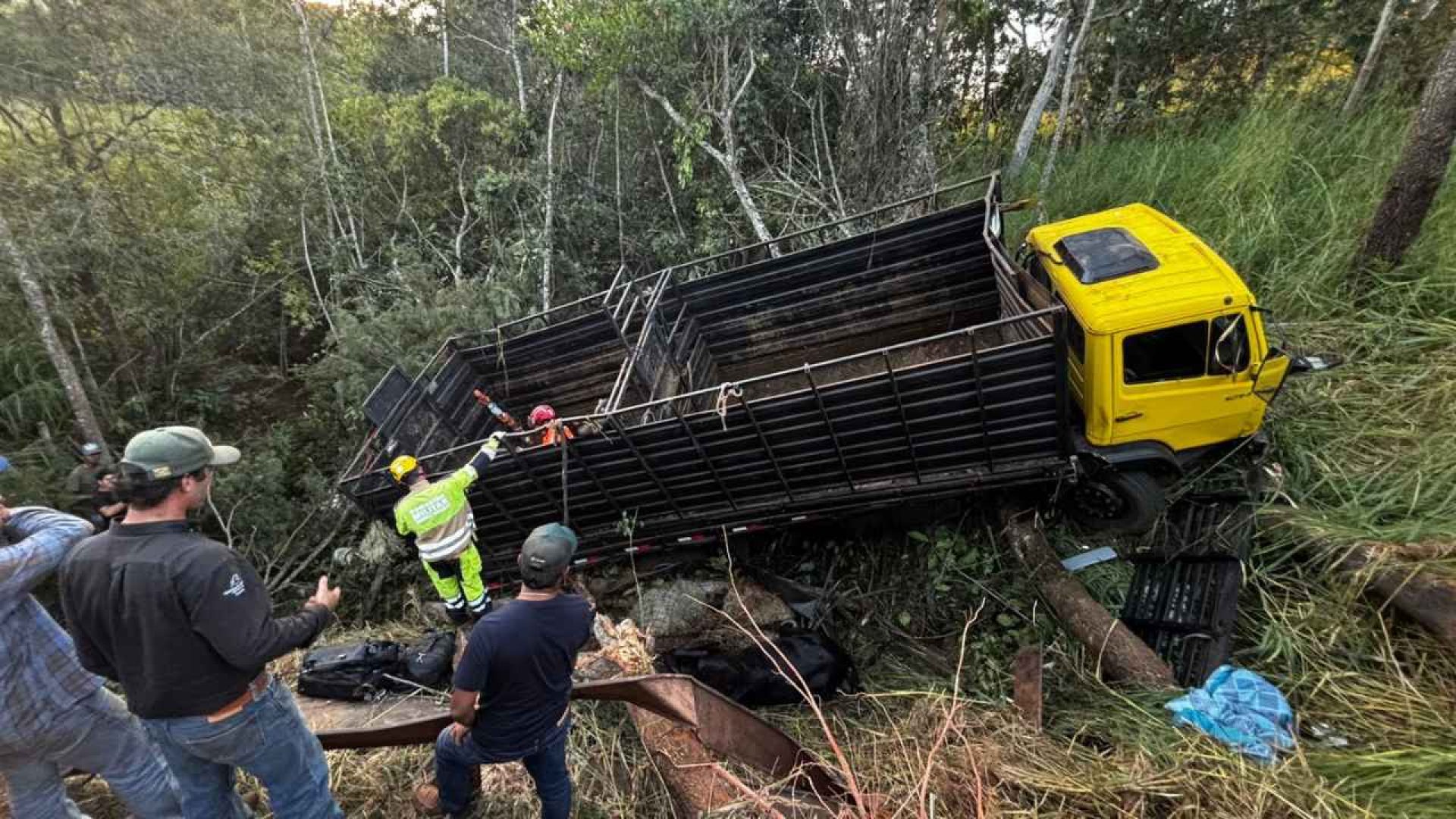 (foto: divulgação/ CBMG)