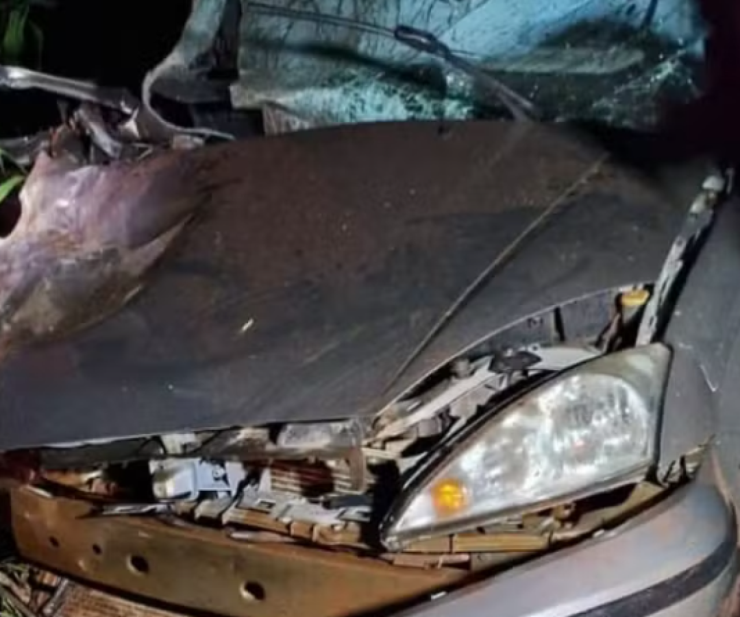 Homem de 55 anos morre após caminhonete bater de frente com ônibus que levava trabalhadores rurais (foto: divulgação/CBMG)