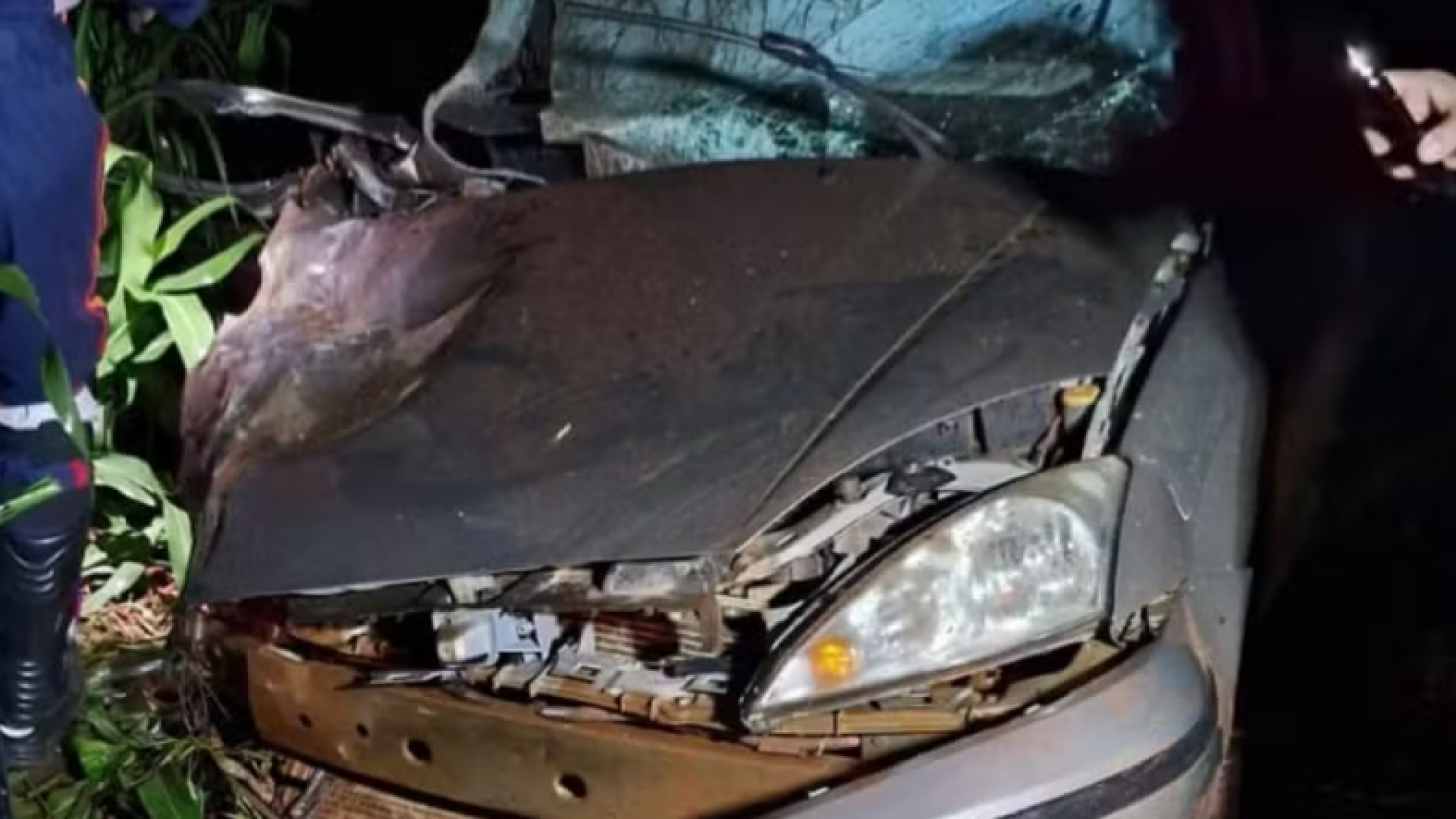 Homem de 55 anos morre após caminhonete bater de frente com ônibus que levava trabalhadores rurais (foto: divulgação/CBMG)