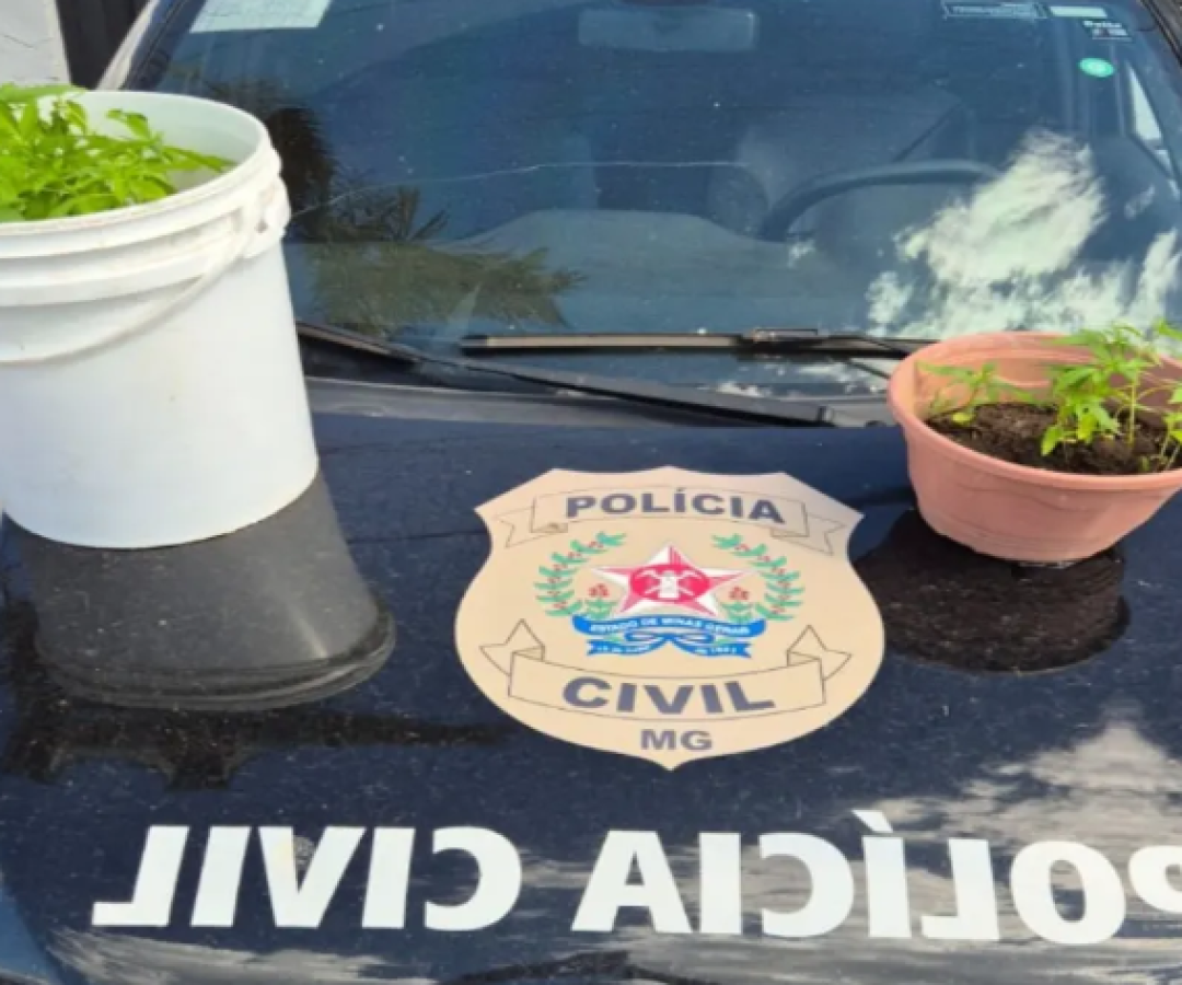 Divulgação / Policia Civil