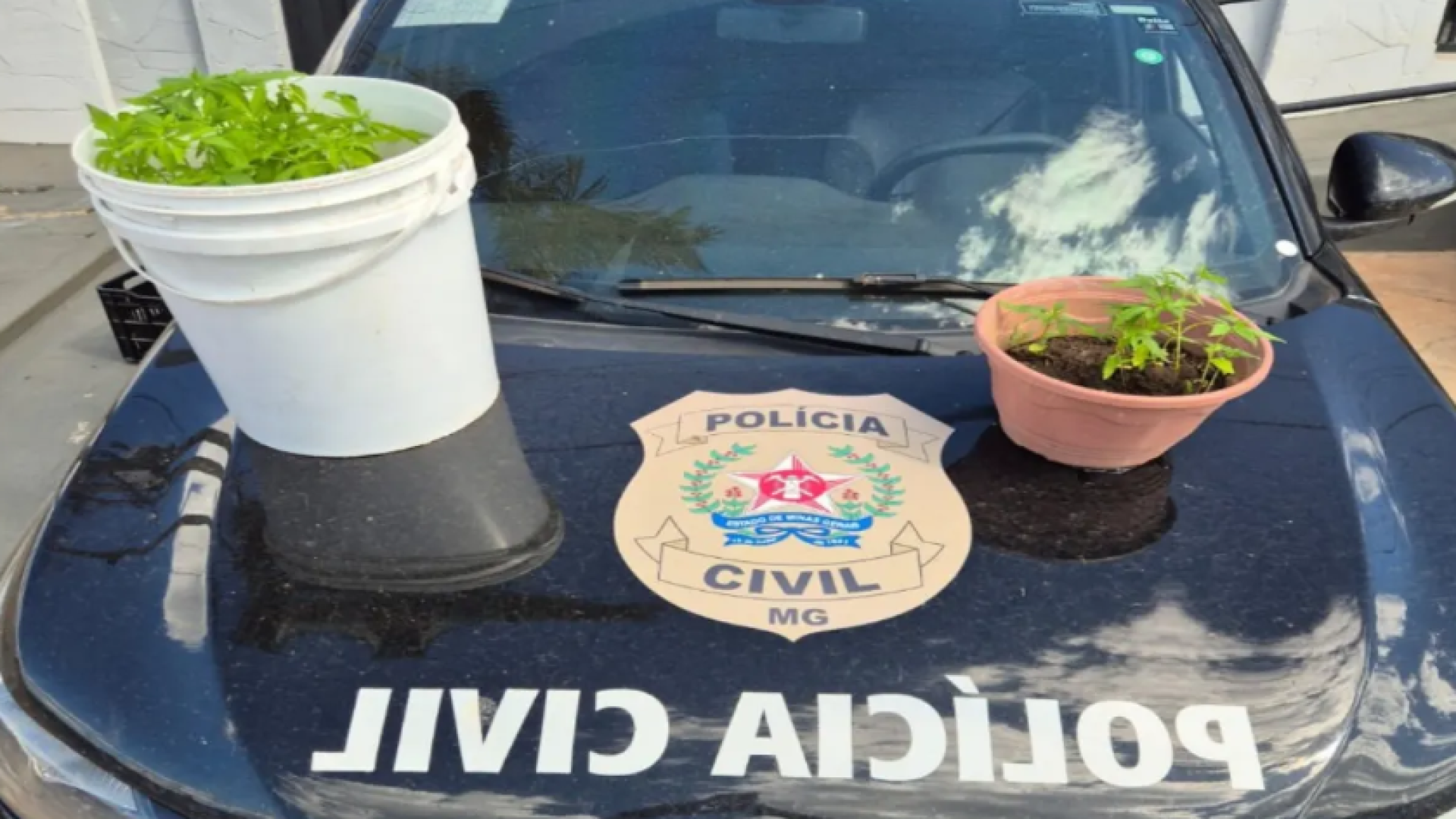 Divulgação / Policia Civil