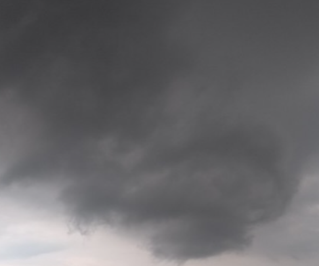 Foto: Reprodução internet