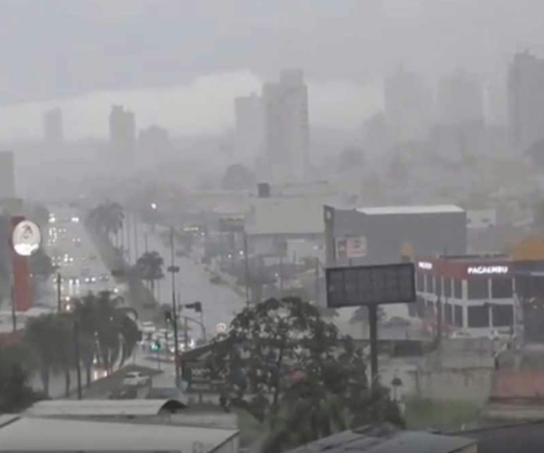 Temporal causa alagamentos, queda de árvore e alerta da Defesa Civil em Uberlândia (MG)