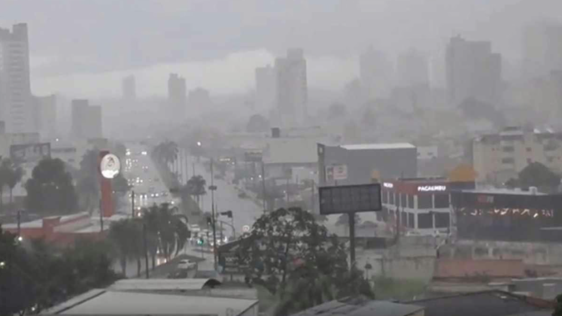 Temporal causa alagamentos, queda de árvore e alerta da Defesa Civil em Uberlândia (MG)