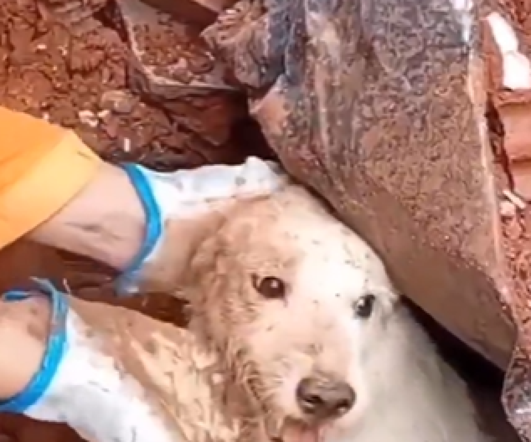 Divulgação / Redes Sociais