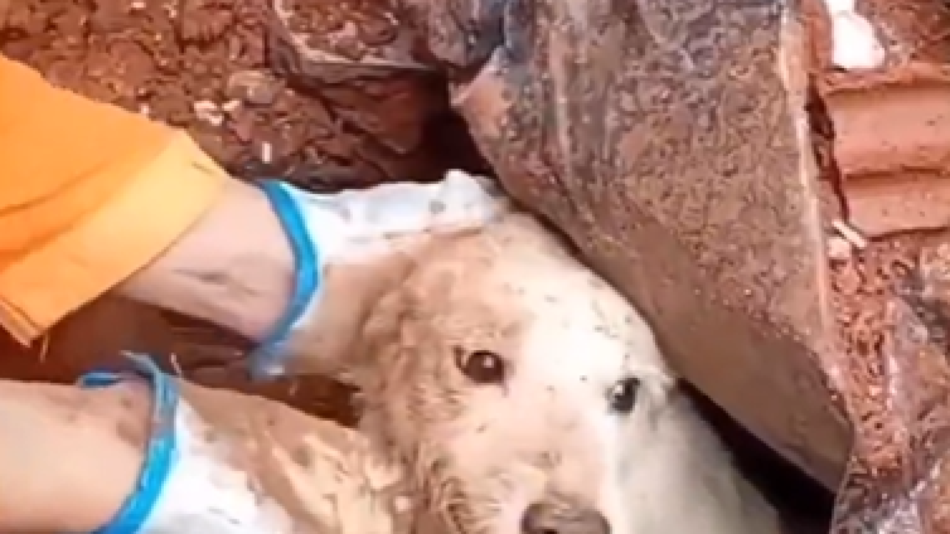 Divulgação / Redes Sociais