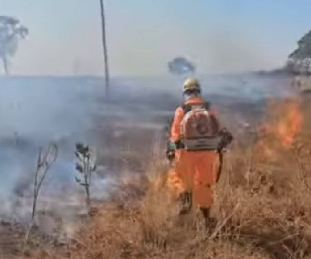 (foto: reprodução/ redes sociais)
