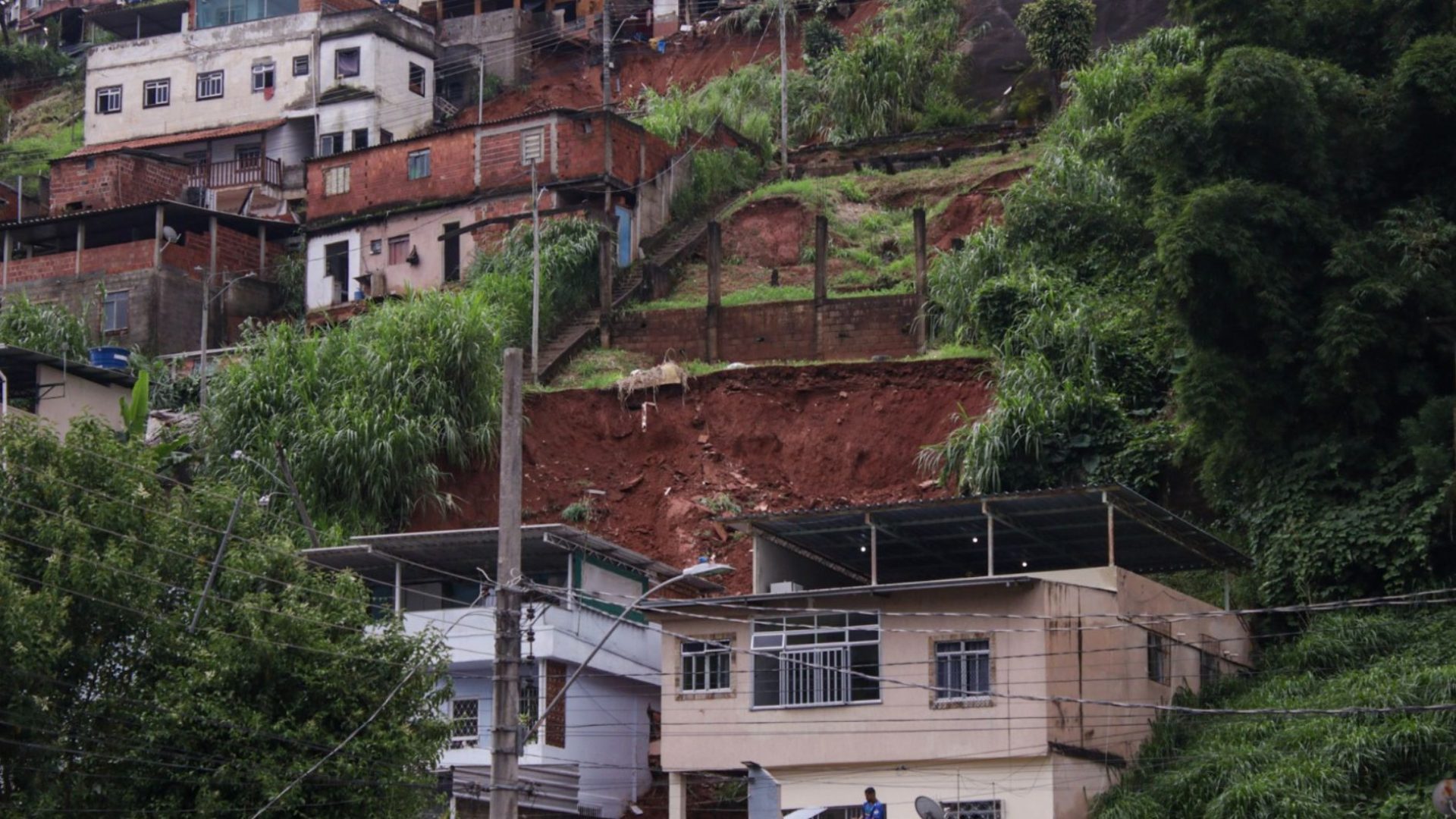Compra Assistida em Juiz de Fora