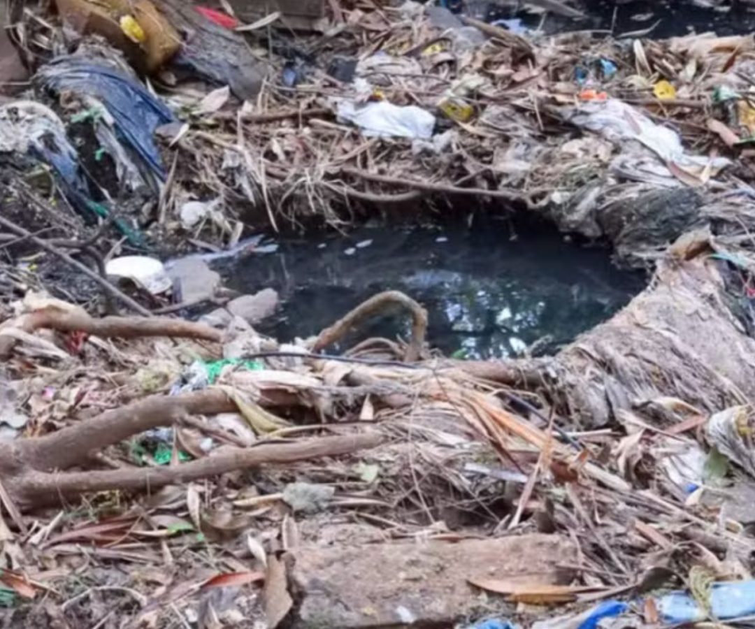 Contaminação no Parque do Sabiá