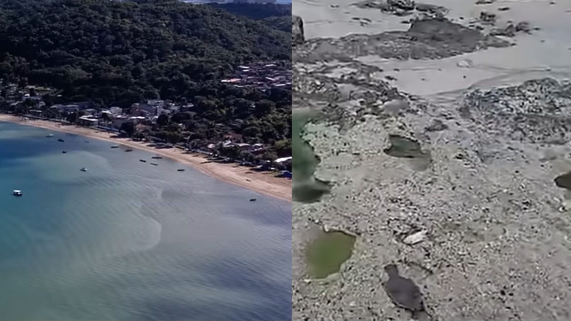 Contaminação química em praia da Bahia afeta pesca e saúde