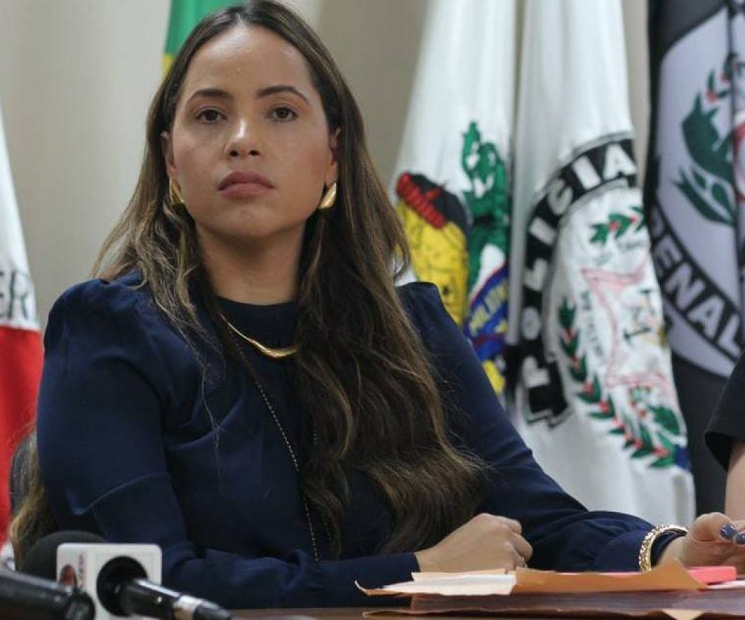 Delegada Francielle Drummond responsável pelo caso (foto: divulgação/PCMG)