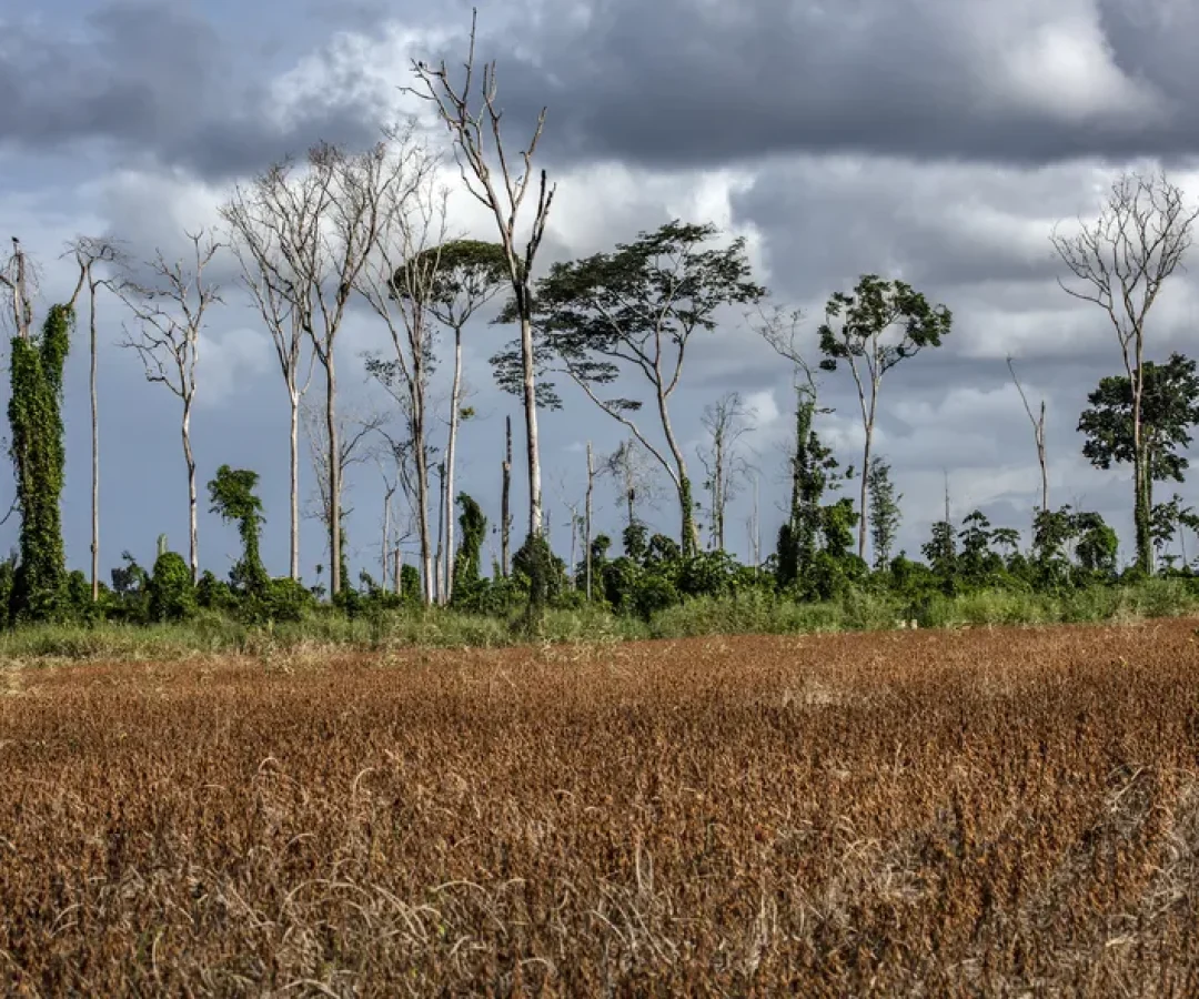 A previsão de um novo episódio de El Niño colocou estados e municípios das regiões Norte, Nordeste e Centro-Oeste em estado de atenção.