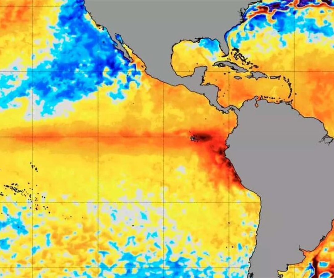 El niño está se formando no Ocenao Pacífico Foto: Reprodução/Metsul