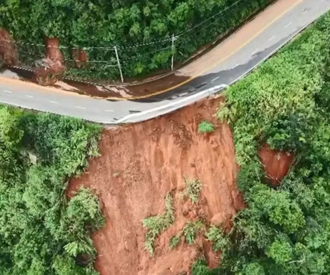 Estrada Engenheiro Gentil Forn