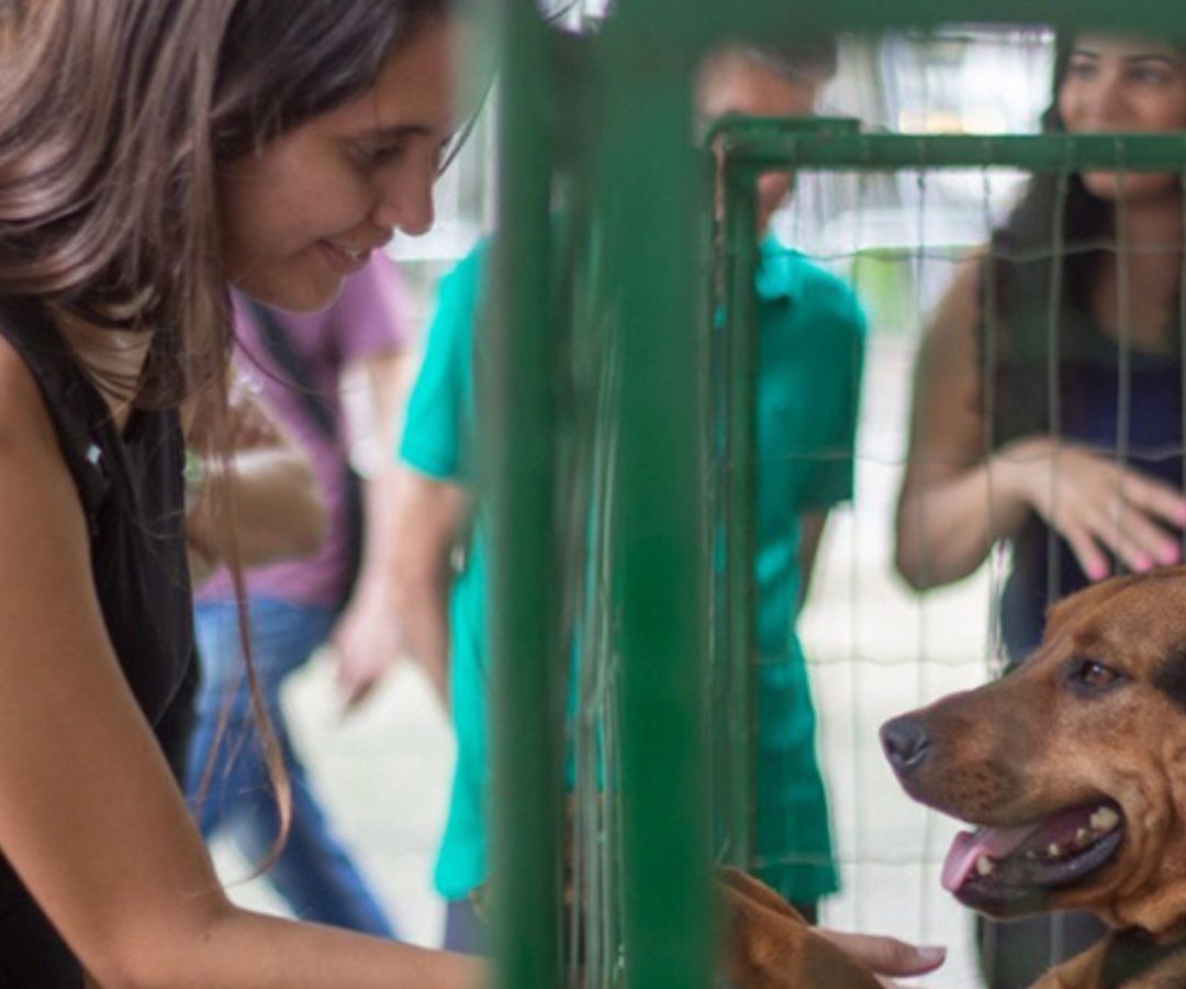 Evento de adoção responsável da SEBEAL acontece neste sábado