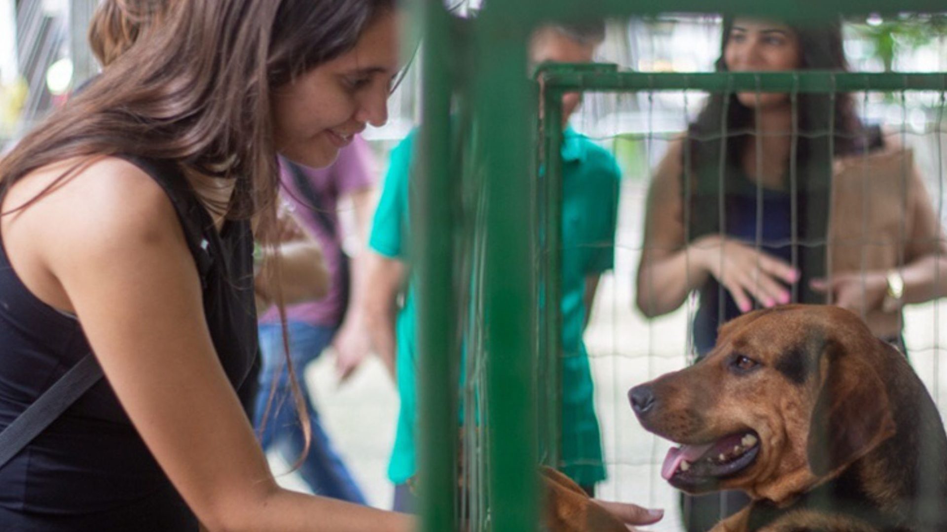 Evento de adoção responsável da SEBEAL acontece neste sábado