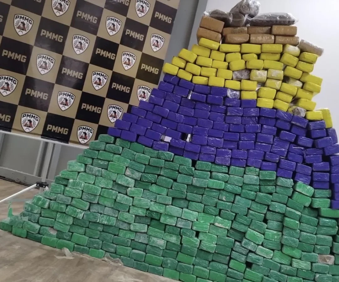 (foto: divulgação/ PMMG)