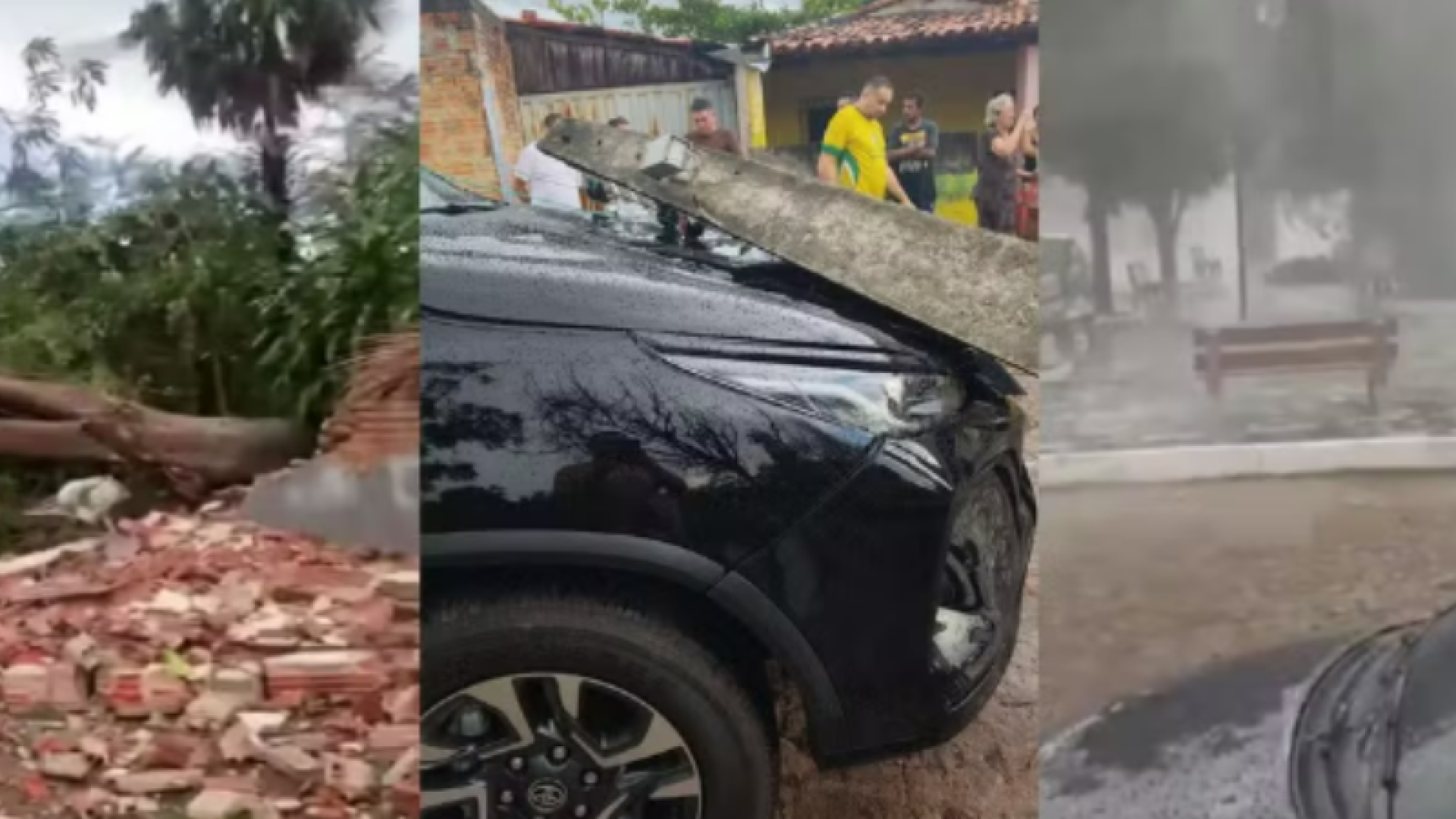 Microexplosão atmosférica derruba árvores e postes em Piracuruca, no Piauí