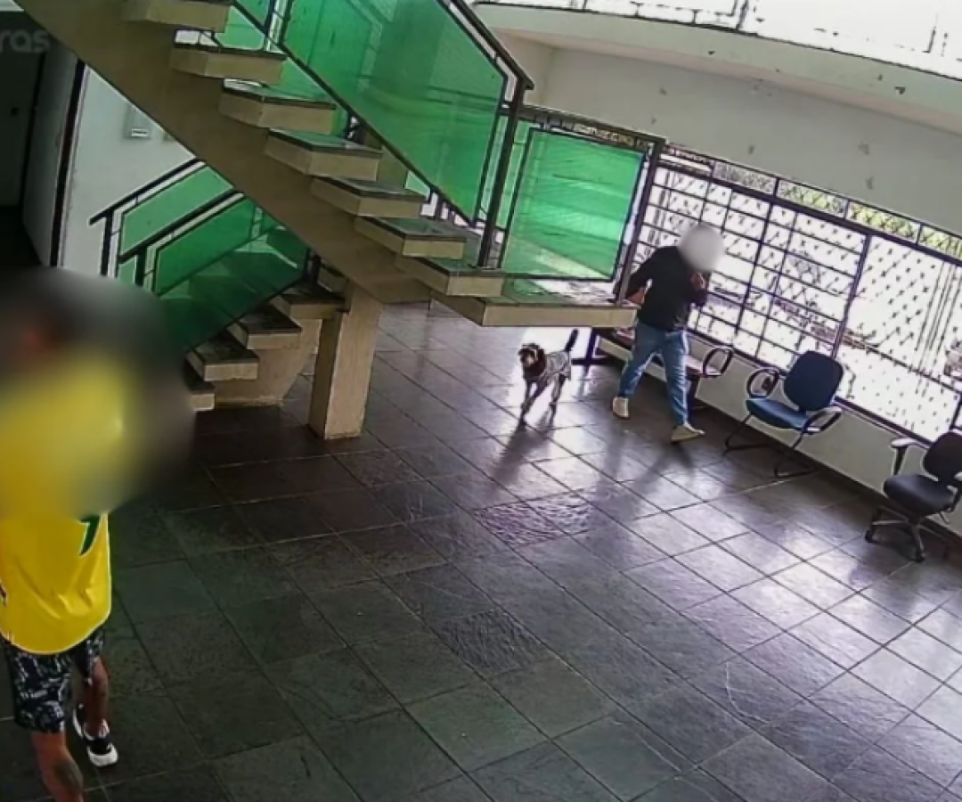 Tutor leva cão morto ao Samu e protesta após atropelamento em Itapecerica da Serra