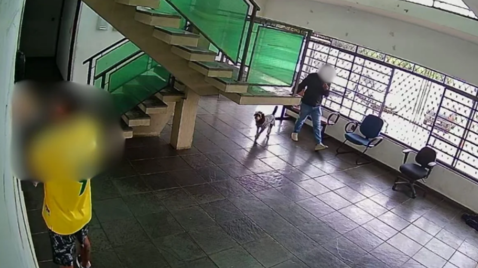Tutor leva cão morto ao Samu e protesta após atropelamento em Itapecerica da Serra