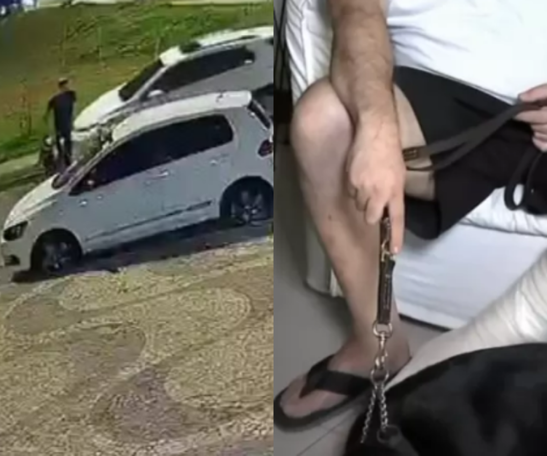 Motorista atropela homem cego e cão-guia na calçada e foge no DF