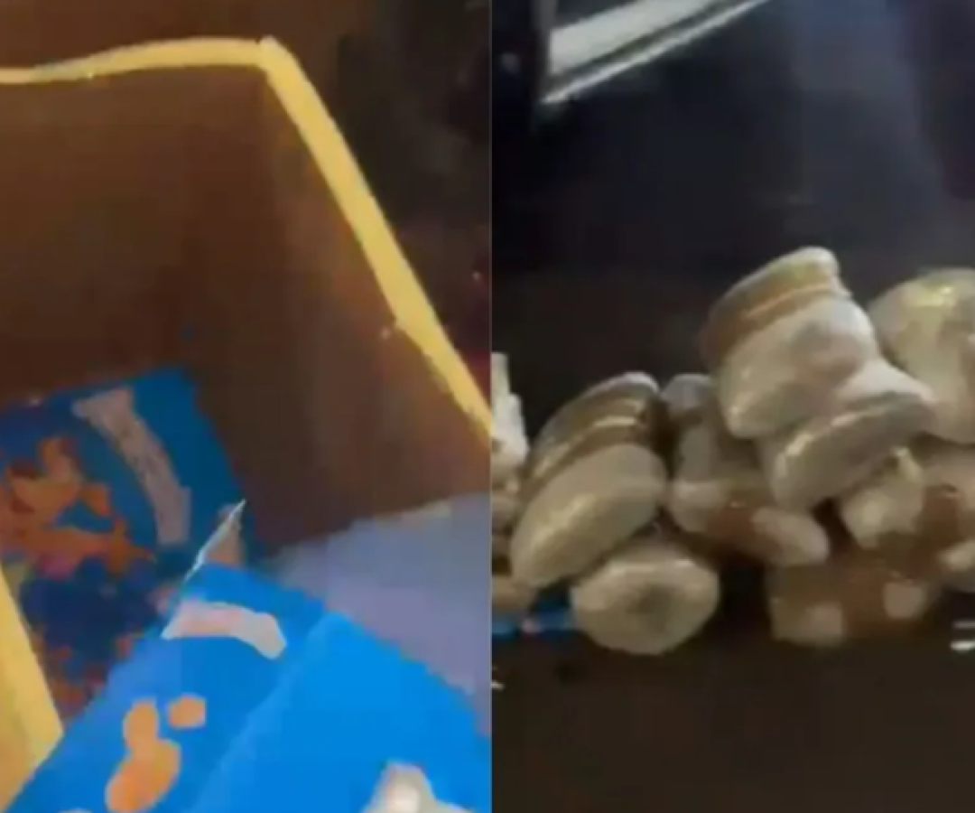 PM apreende 200 kg de drogas escondidas em caixas de cereal dentro de ônibus em SP