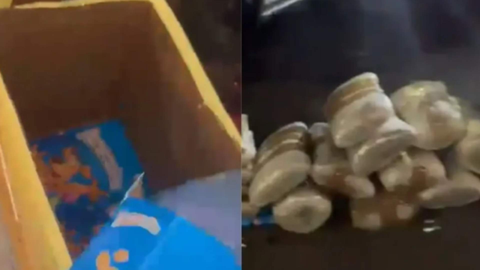 PM apreende 200 kg de drogas escondidas em caixas de cereal dentro de ônibus em SP