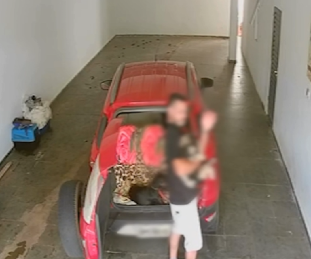 (foto: reprodução/ redes sociais)