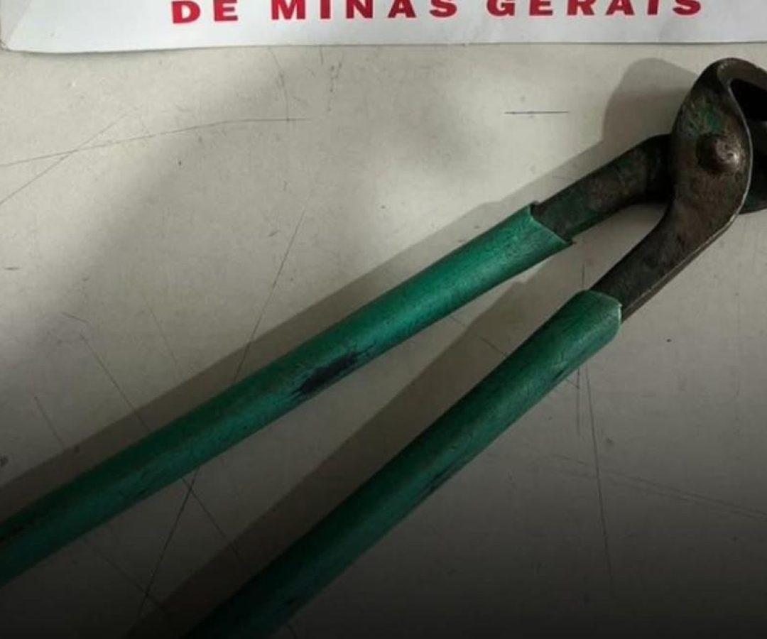 (foto: divulgação/ PMMG)