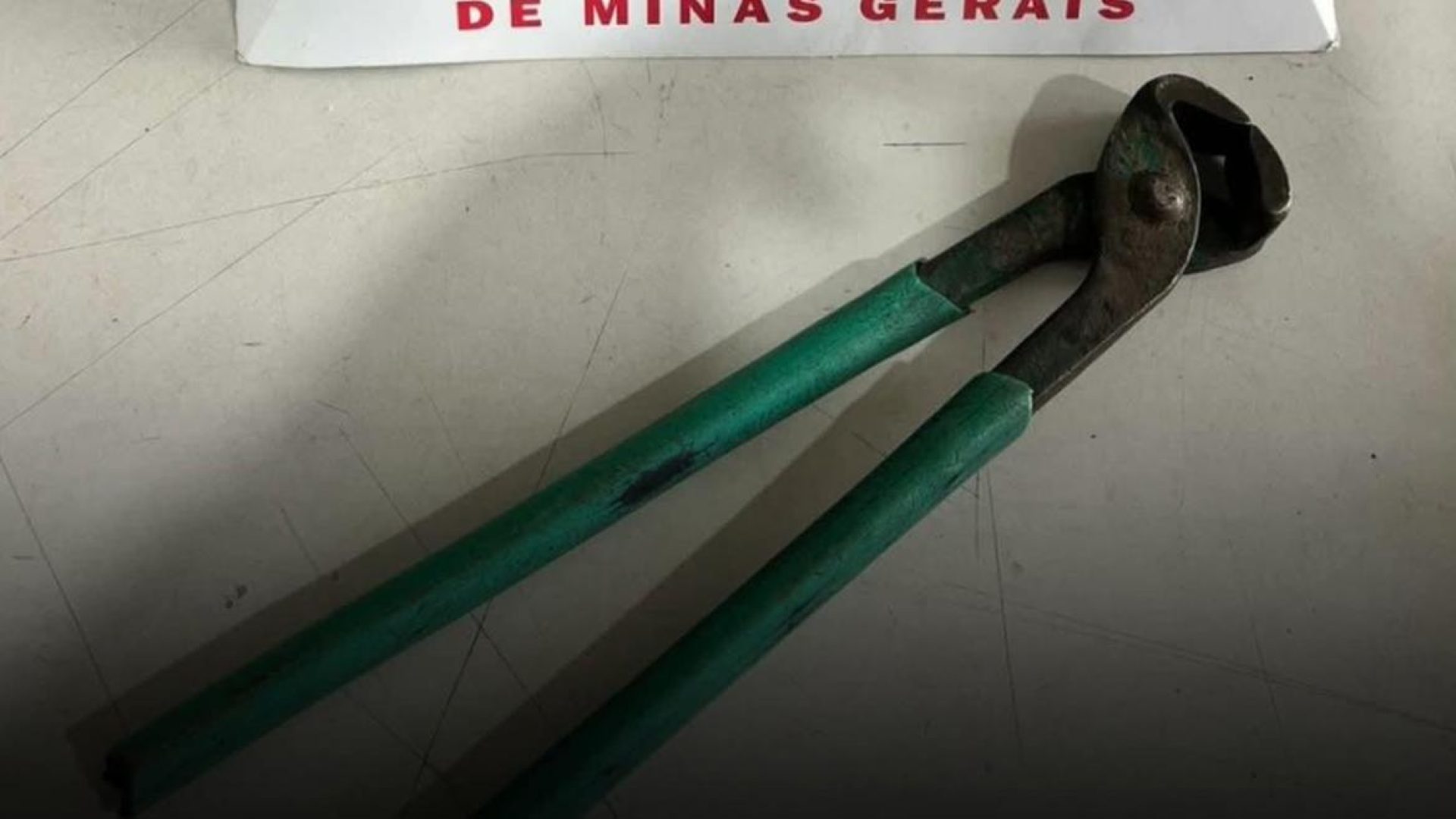 (foto: divulgação/ PMMG)