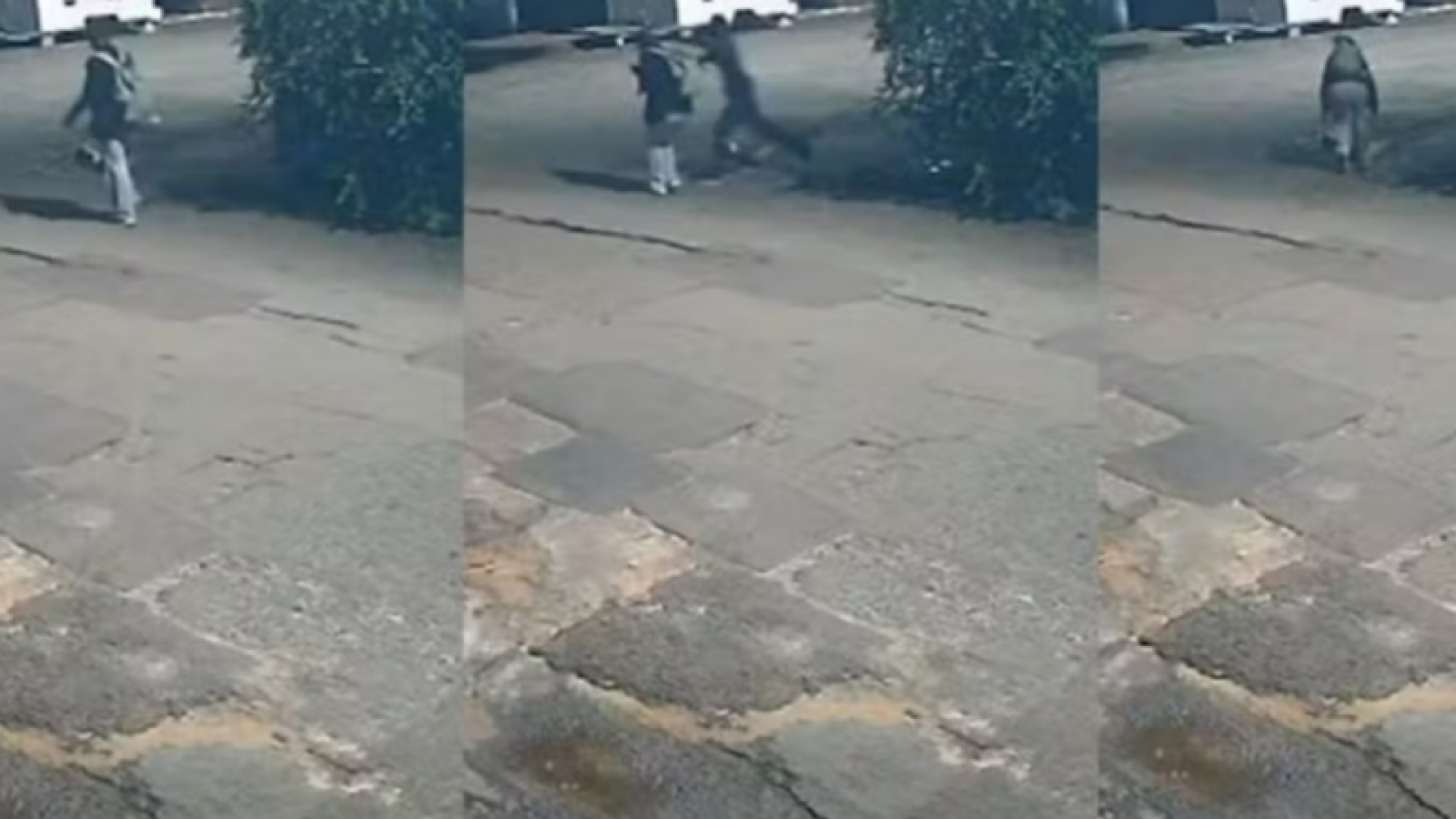 Justiça mantém preso homem que atacou ex com facadas em Campo Grande