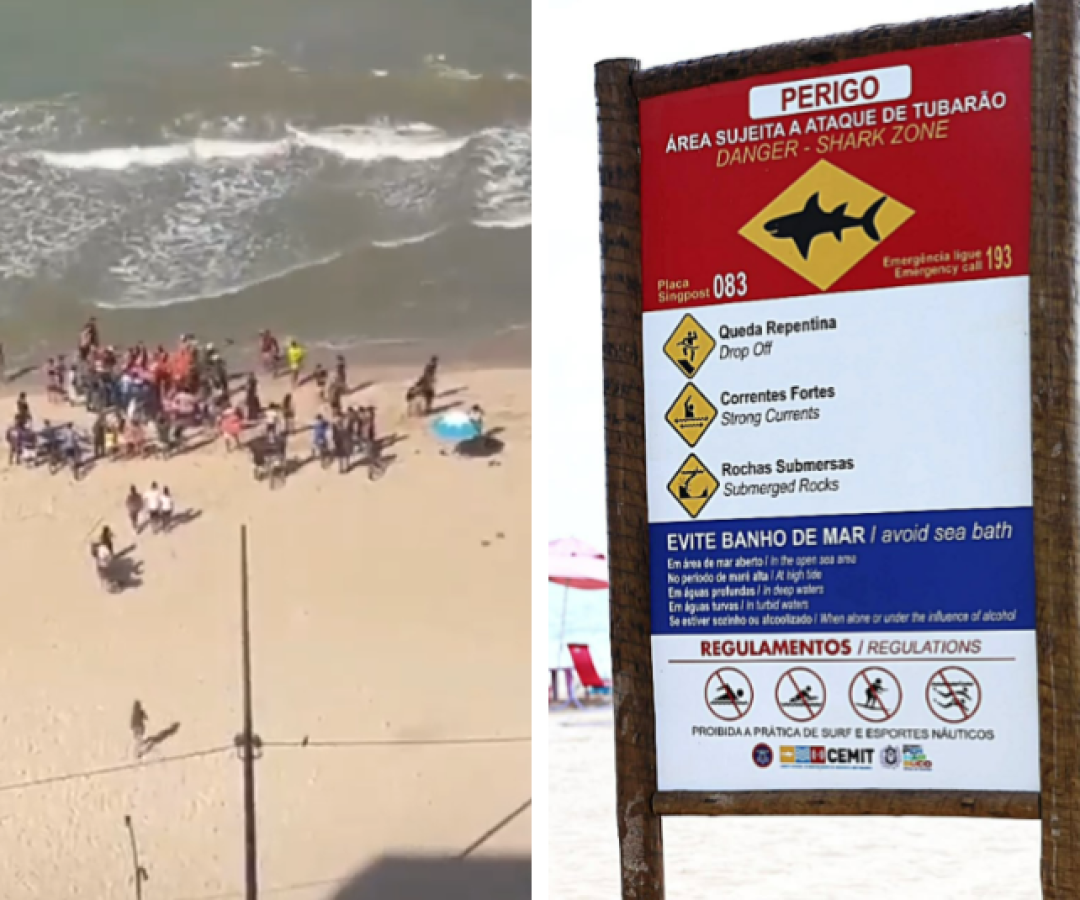 Menino de 11 anos é mordido por tubarão na Praia de Piedade