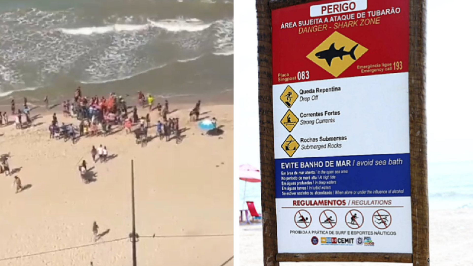 Menino de 11 anos é mordido por tubarão na Praia de Piedade