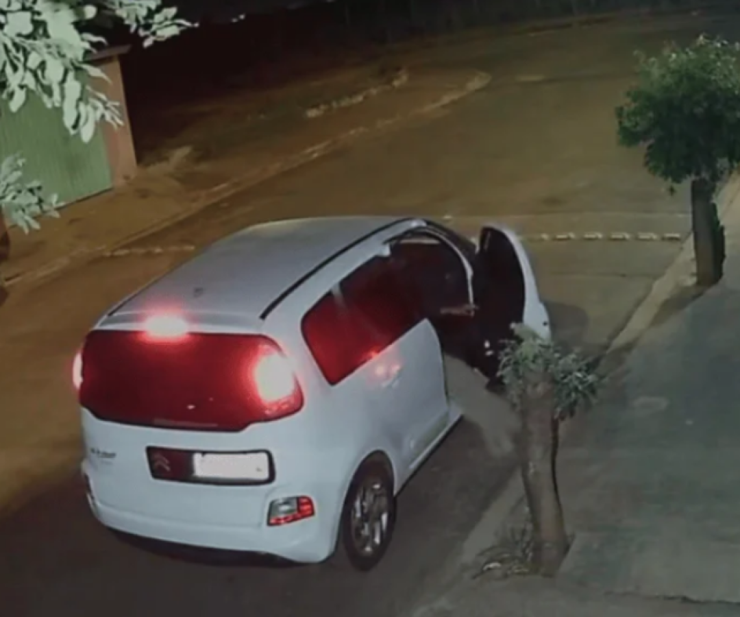 Cachorro é abandonado e corre atrás do carro do tutor em Ribeirão Preto