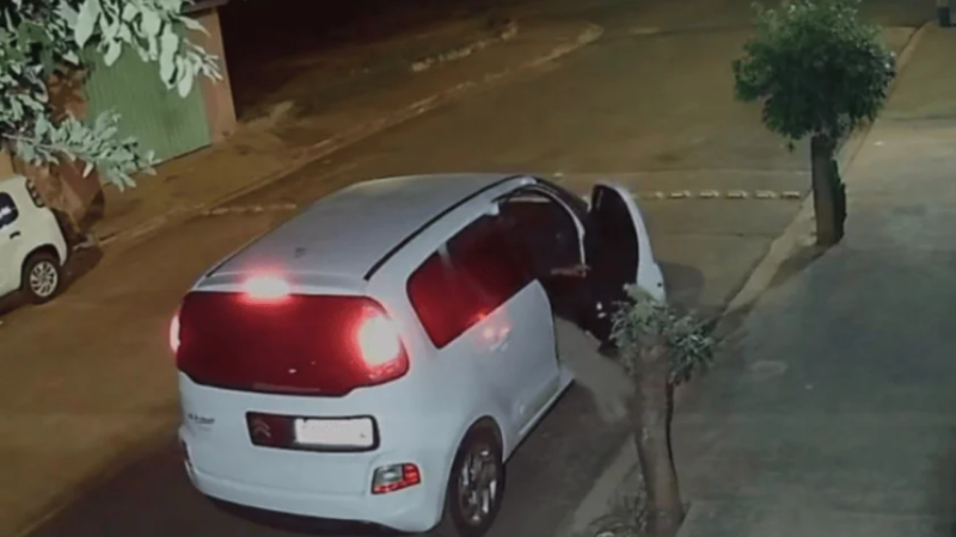 Cachorro é abandonado e corre atrás do carro do tutor em Ribeirão Preto