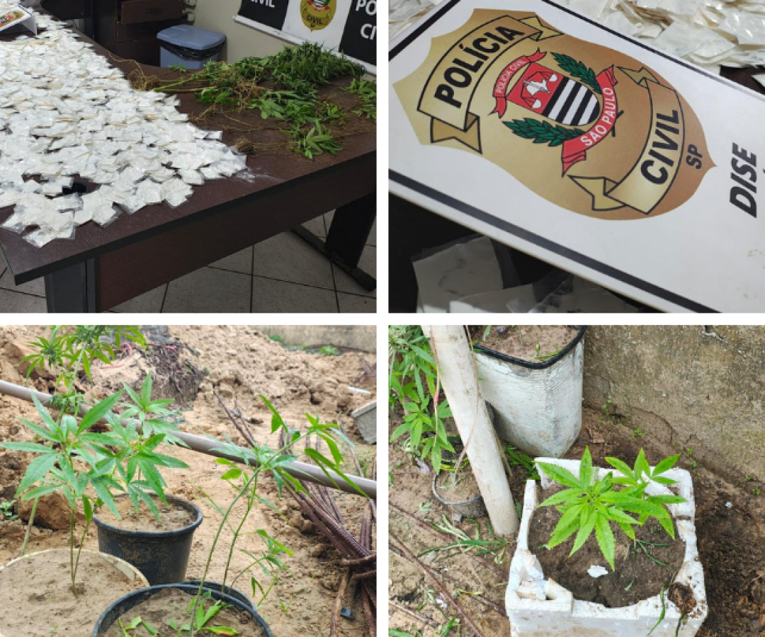 Polícia Civil prende suspeito de coordenar tráfico com quase 2 mil porções em Itanhaém