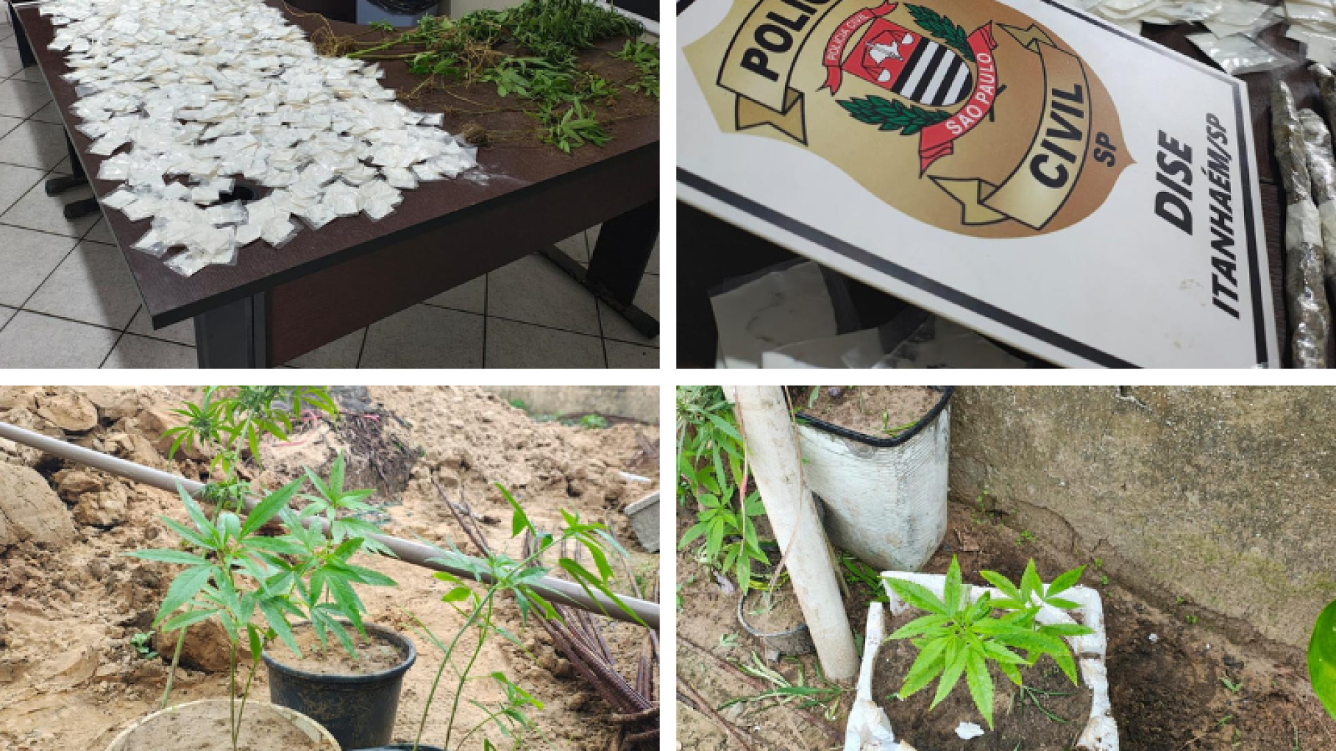 Polícia Civil prende suspeito de coordenar tráfico com quase 2 mil porções em Itanhaém