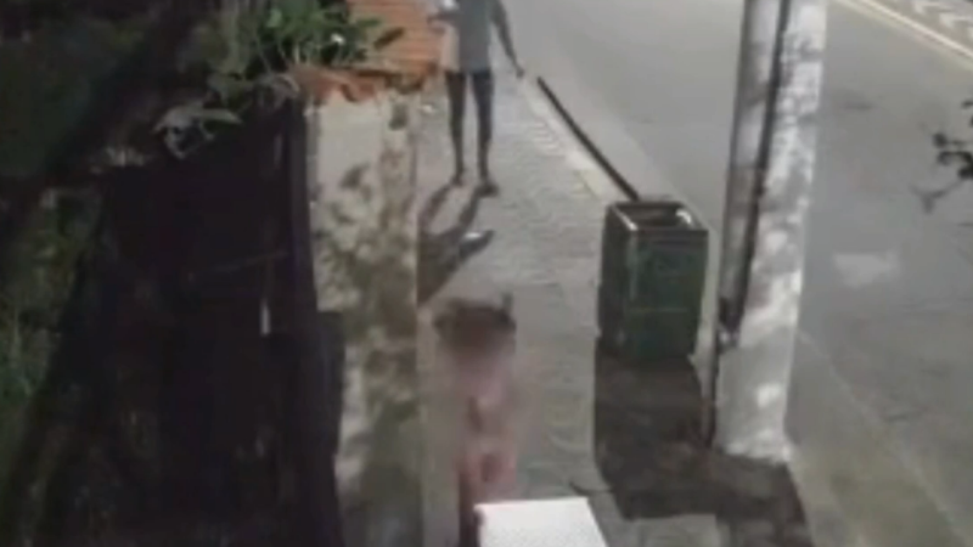 Cena de violência: Mulher dá tapas e puxa cabelo de menina em Santos