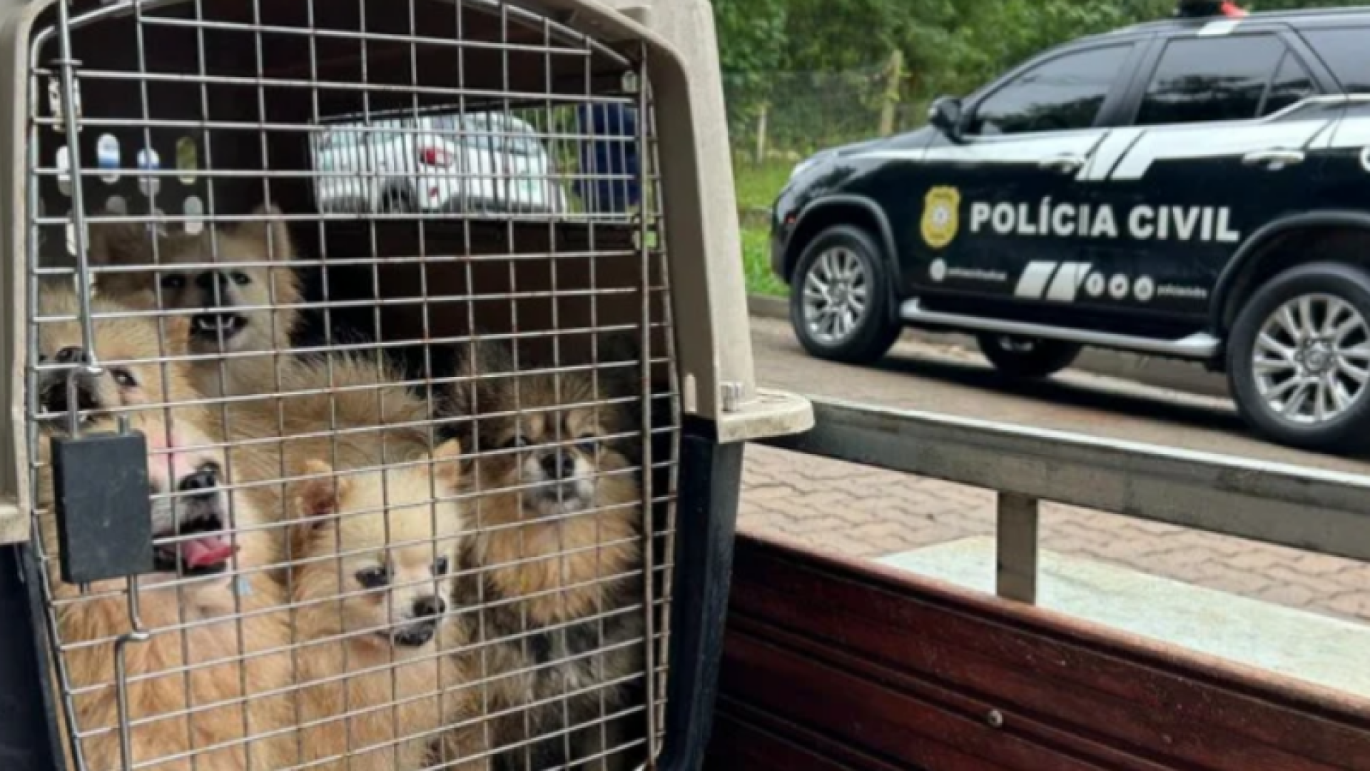 Foto: Isaías Rheinheimer/ GES-Especial