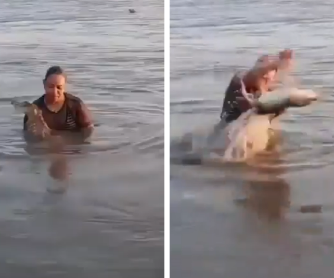 Vídeo: mulher confunde jacaré com tronco e vive momento de pânico no México