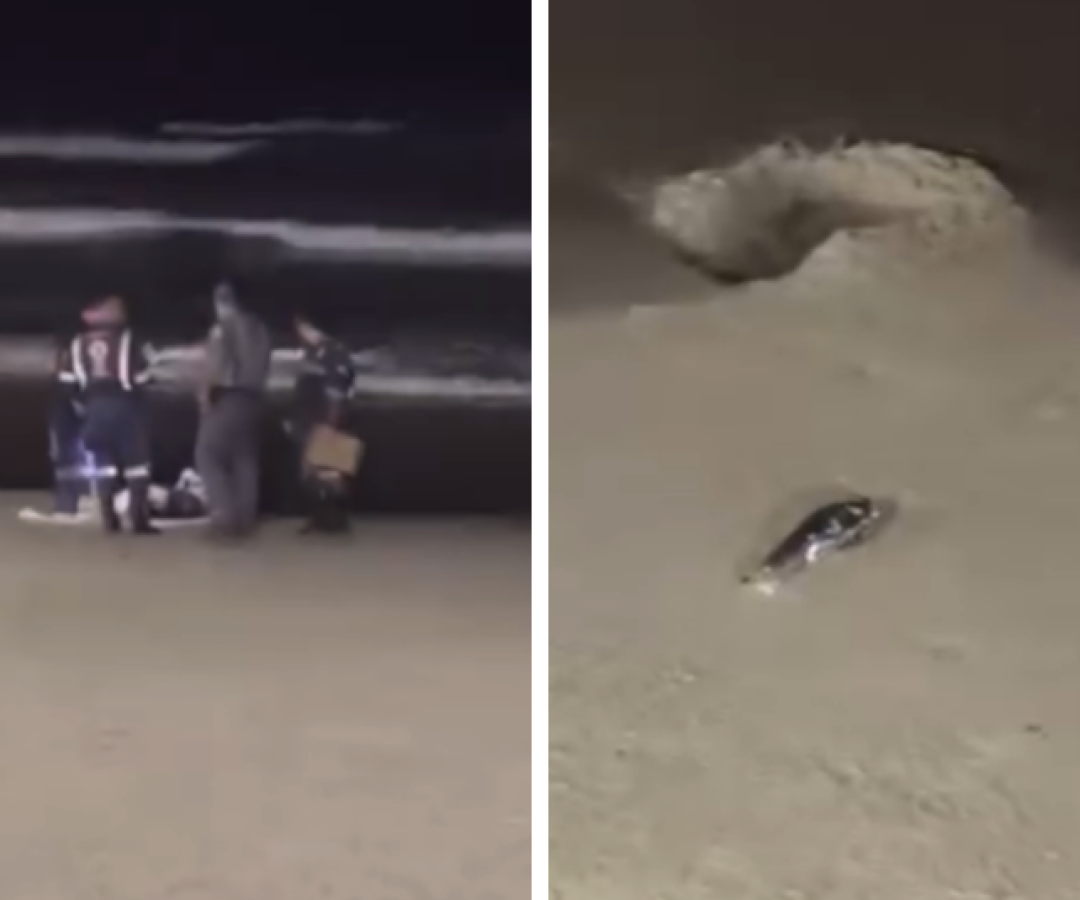 Corpo de jovem de 21 anos é encontrado na praia de Mongaguá após afogamento