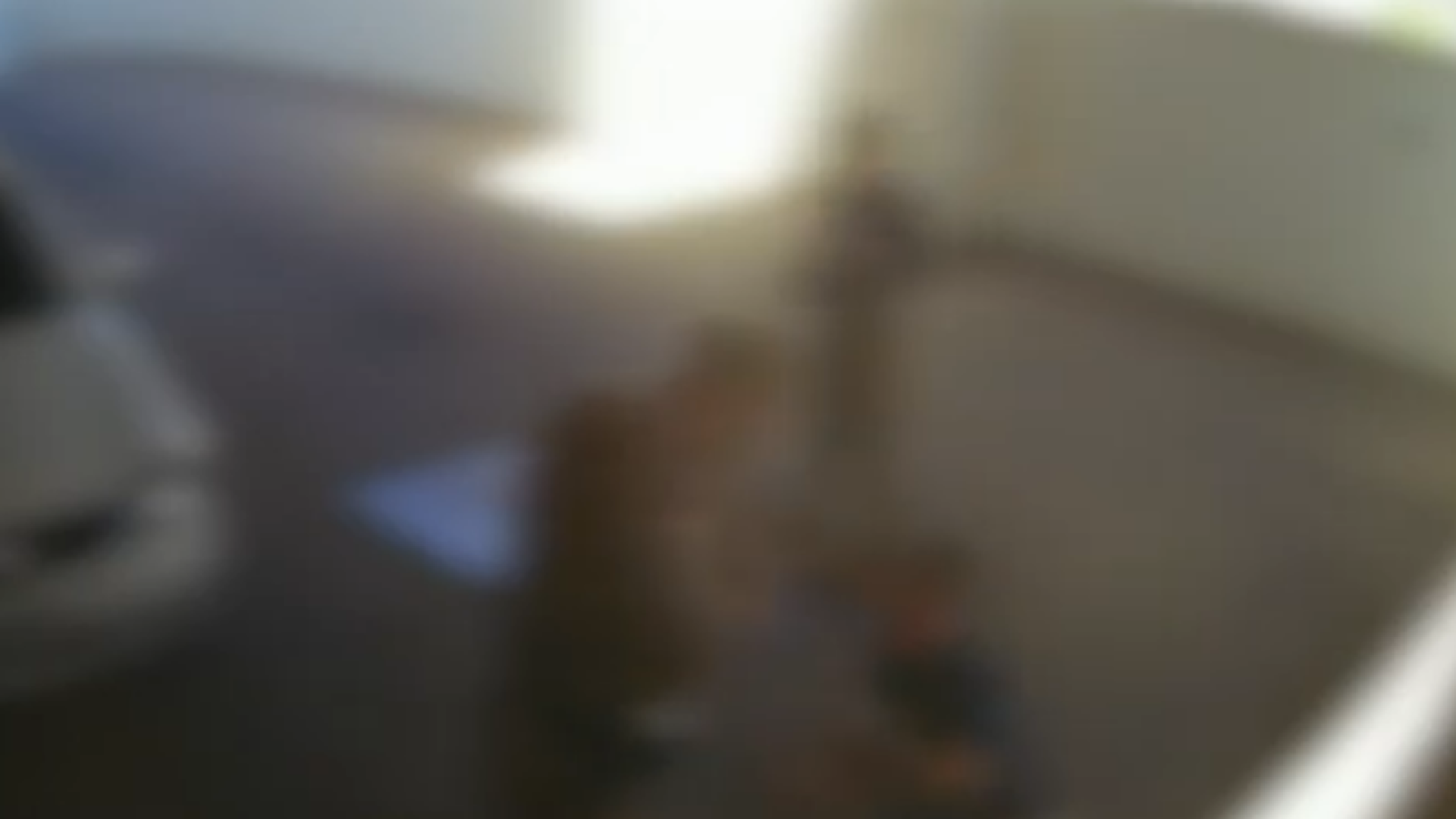 Cenas fortes: vídeo mostra PM pisando em homem rendido após prisão em SC