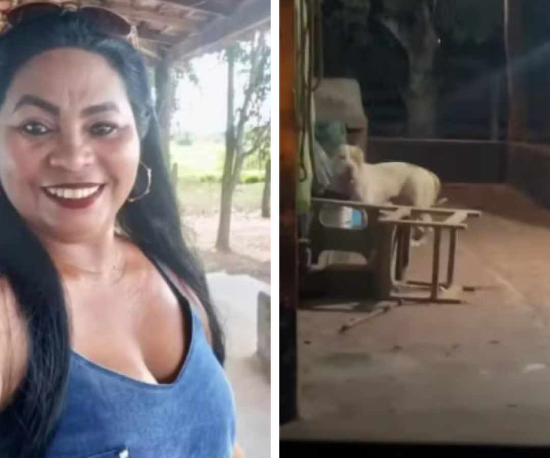 Ataque fatal: mulher é morta por pit-bull da família em Bacabal