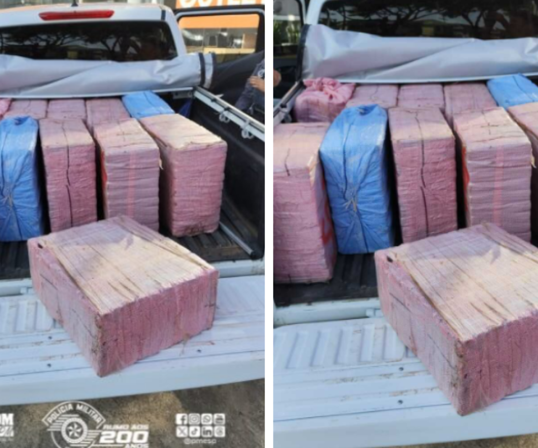 Polícia apreende quase 500 Kg de cocaína que seguia para o Porto de Santos