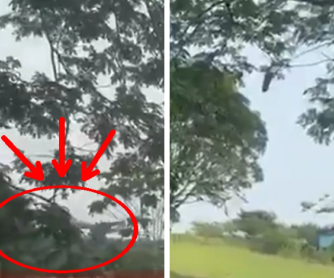 VÍDEO mostra avião militar perdendo altitude antes de cair na Colômbia