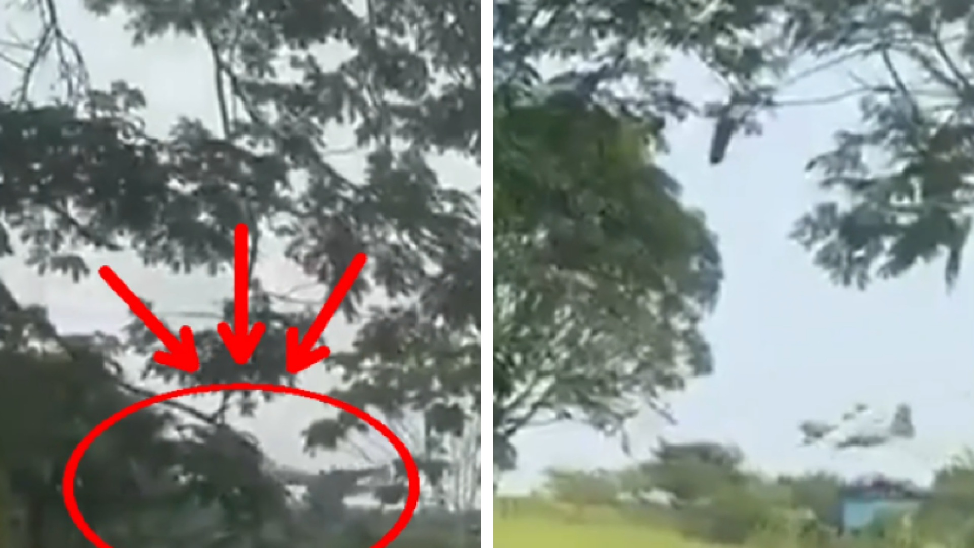 VÍDEO mostra avião militar perdendo altitude antes de cair na Colômbia