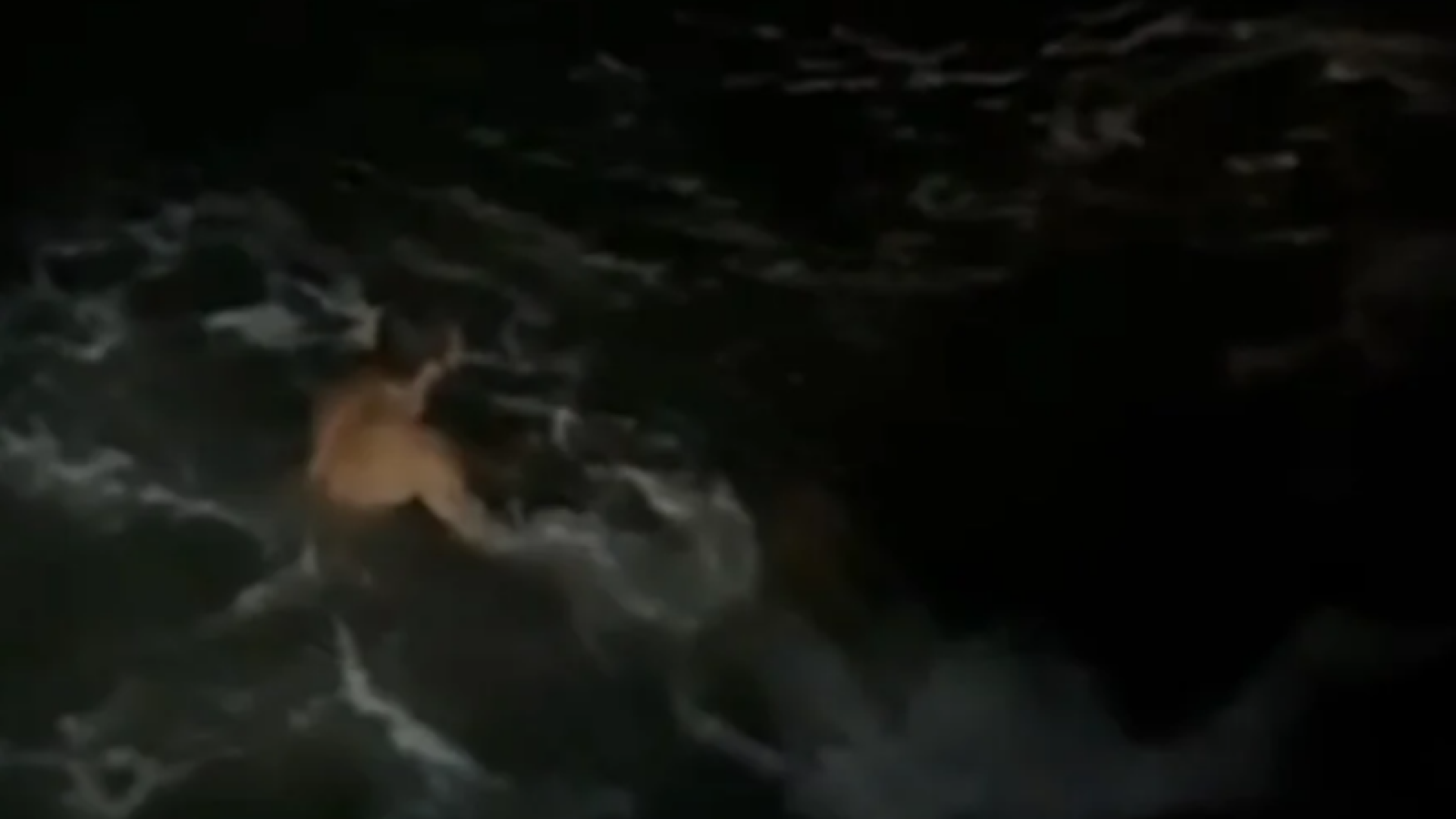 Motorista de carro roubado pula no mar para fugir da polícia e é preso em Niterói