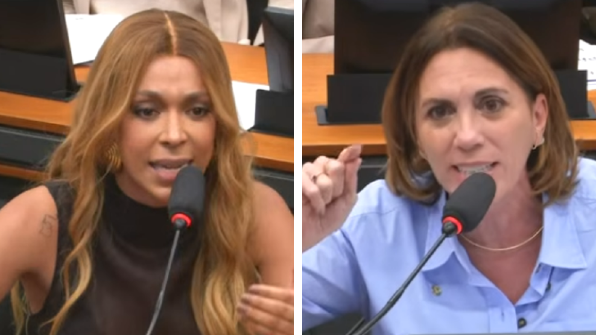 Violência doméstica chega à câmara: Deputada Rosana Valle ameaça acionar Lei Maria da Penha contra Erika Hilton