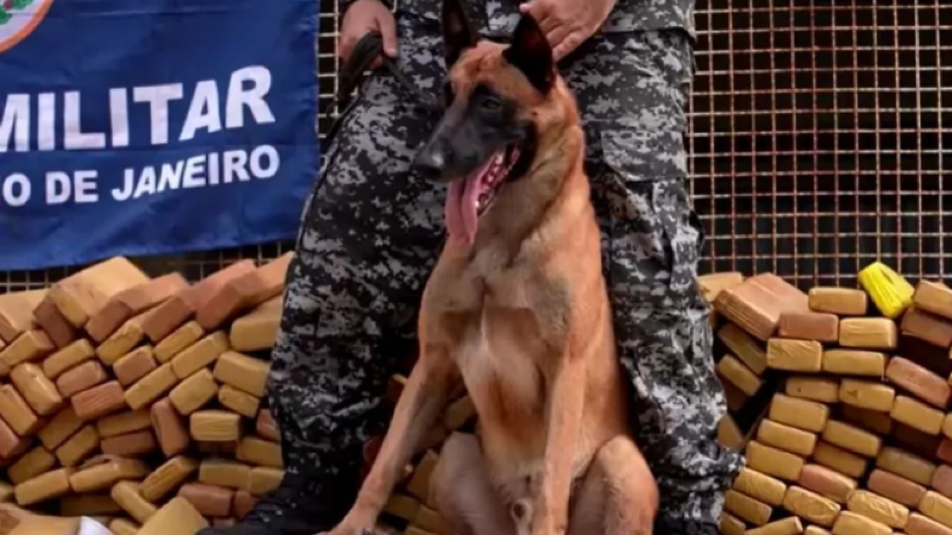 Cão Hulk realiza maior apreensão de drogas do Brasil no Complexo da Maré